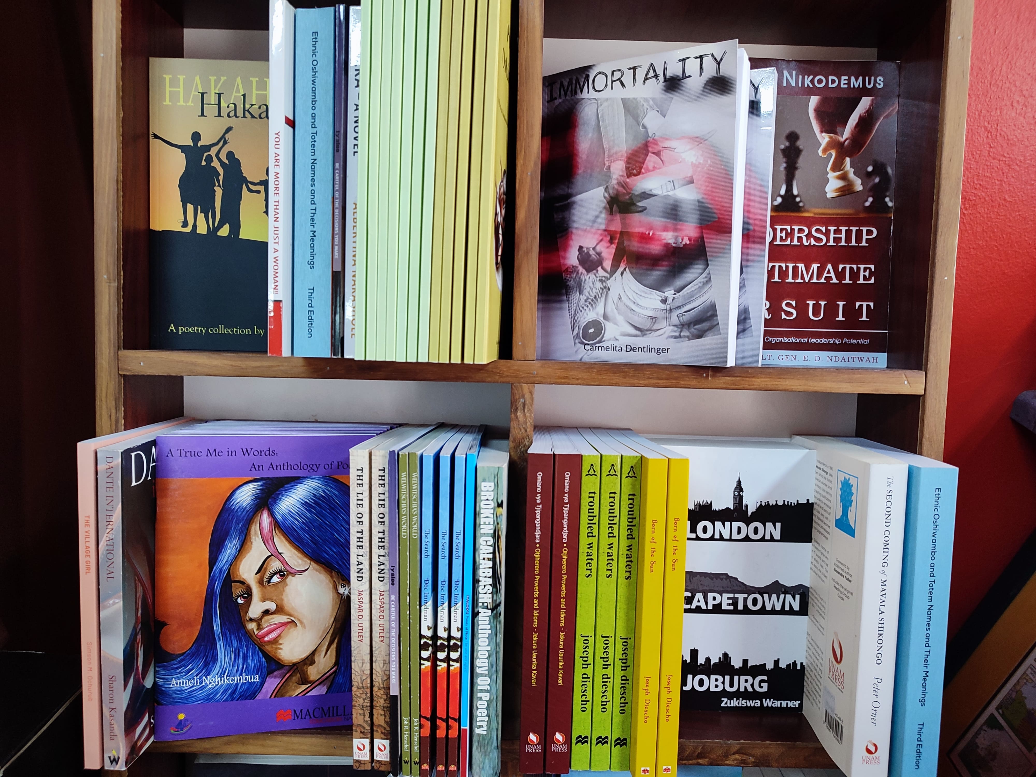 Riwaya: Gabinete de lectura de novela africana