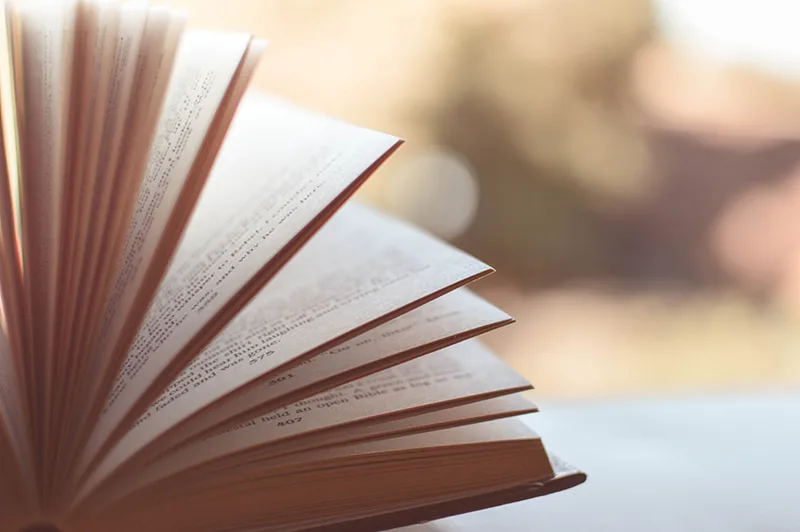 Introducció a la literatura russa.