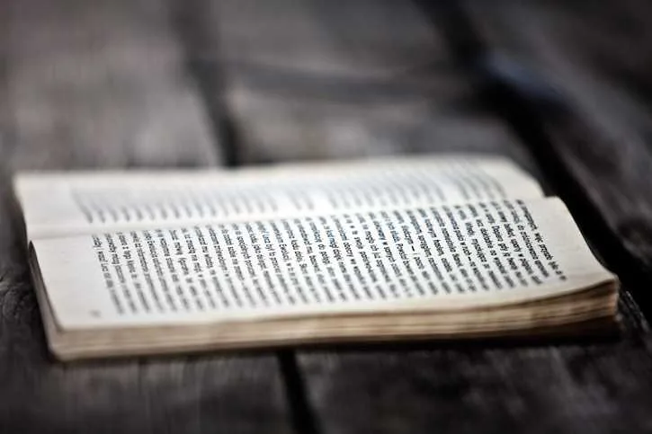 El canon de la novela corta. Una (posible) historia de la literatura moderna